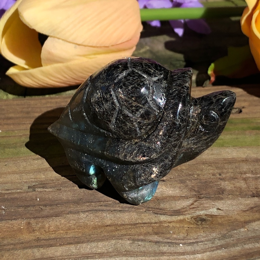 Labradorite Crystal Turtle